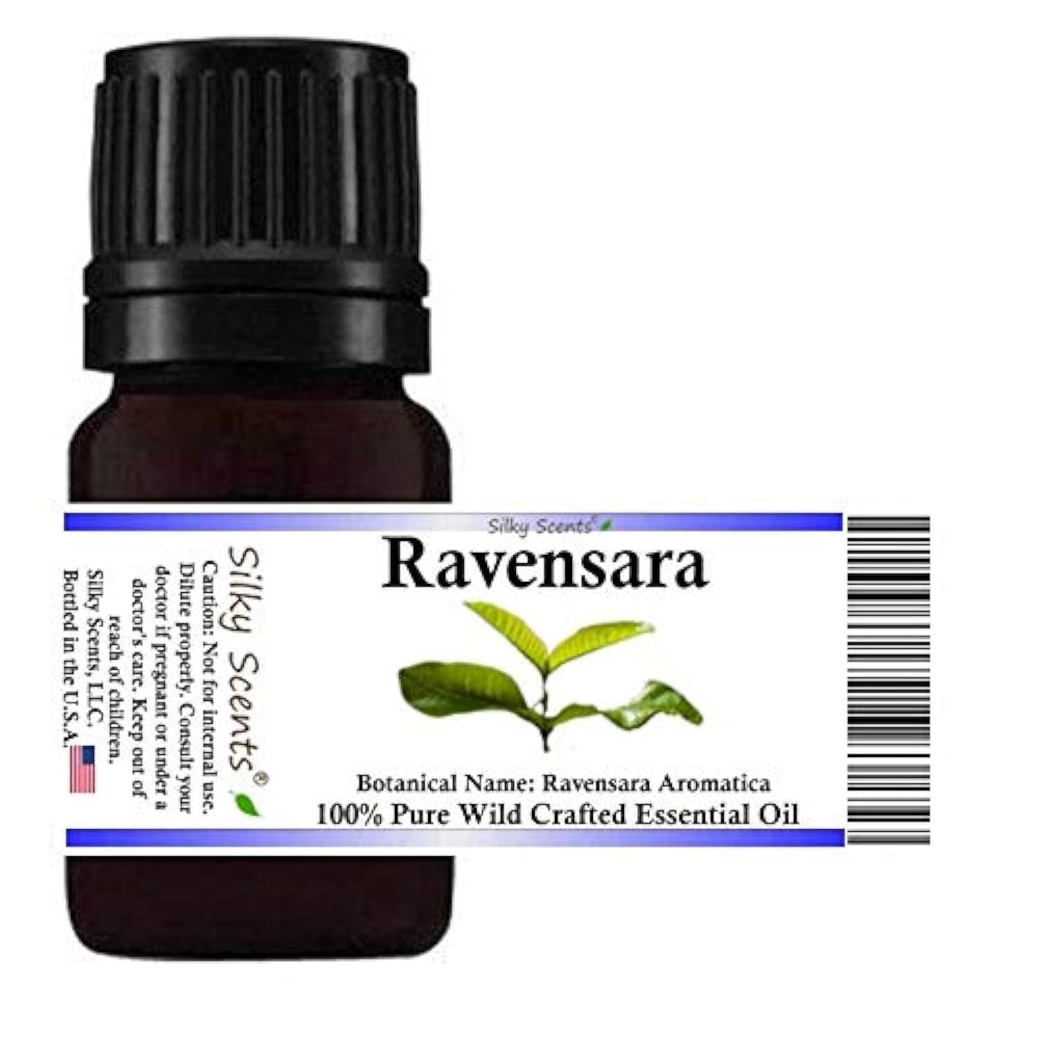Ravensara Wild Crafted Essential Oil (Ravensara Aromatica) 100% Pure and Natural 1OZ30ML