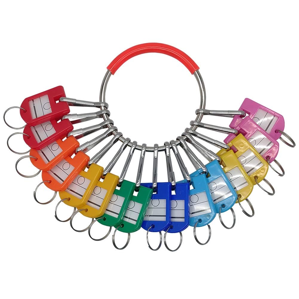 LABEN Portable Metal Ring Key Organizer with 16 Spring Hooks & Key Tags with Ring and Label Window, Multicolored, L