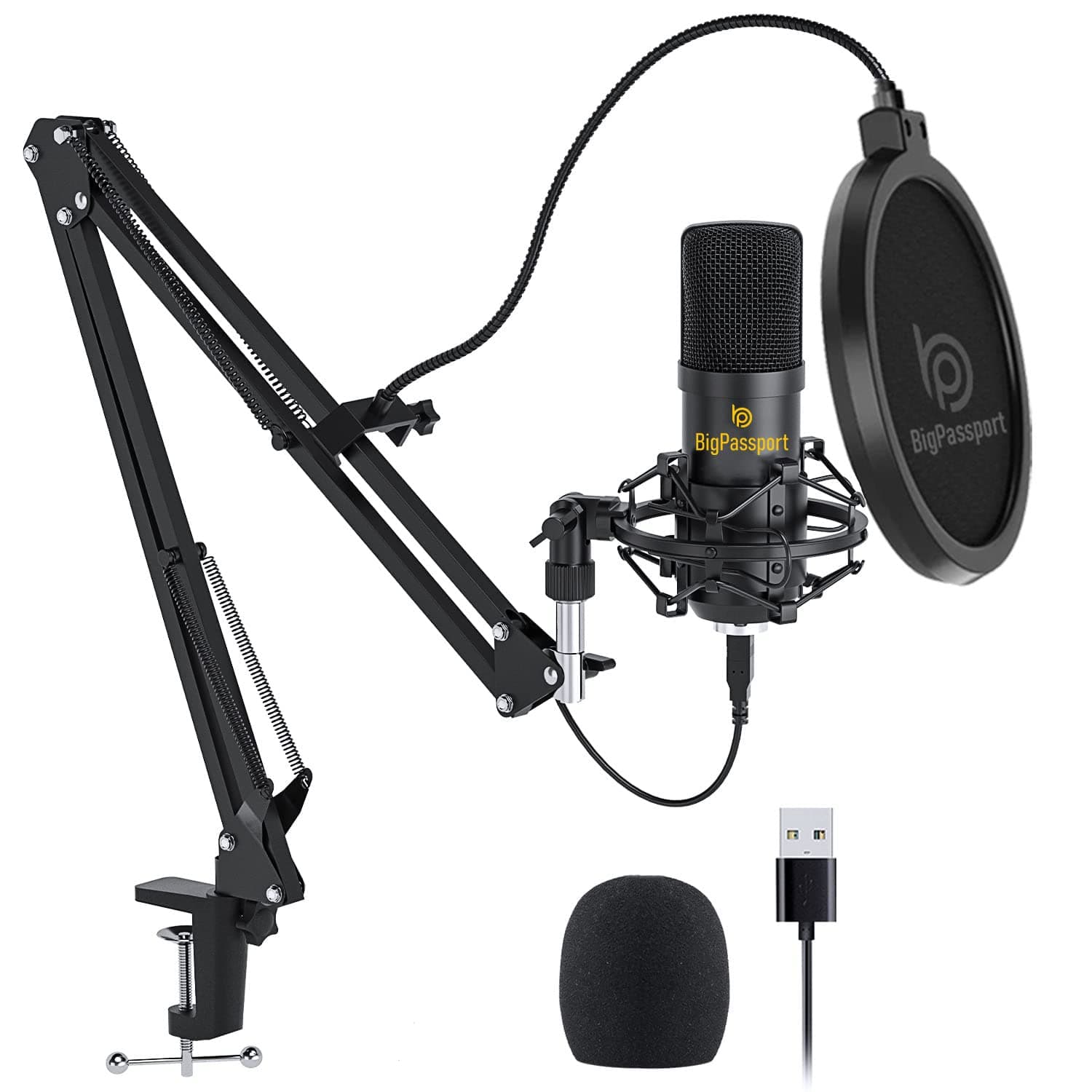 BigPassport USB Microphone Recording Kit | Professional Condenser Microphone for YouTube Videos | Noise Cancellation Mic | Complete Studio Recording Kit with Arm Stand & Pop Filter (Pro-Sound_M800B)