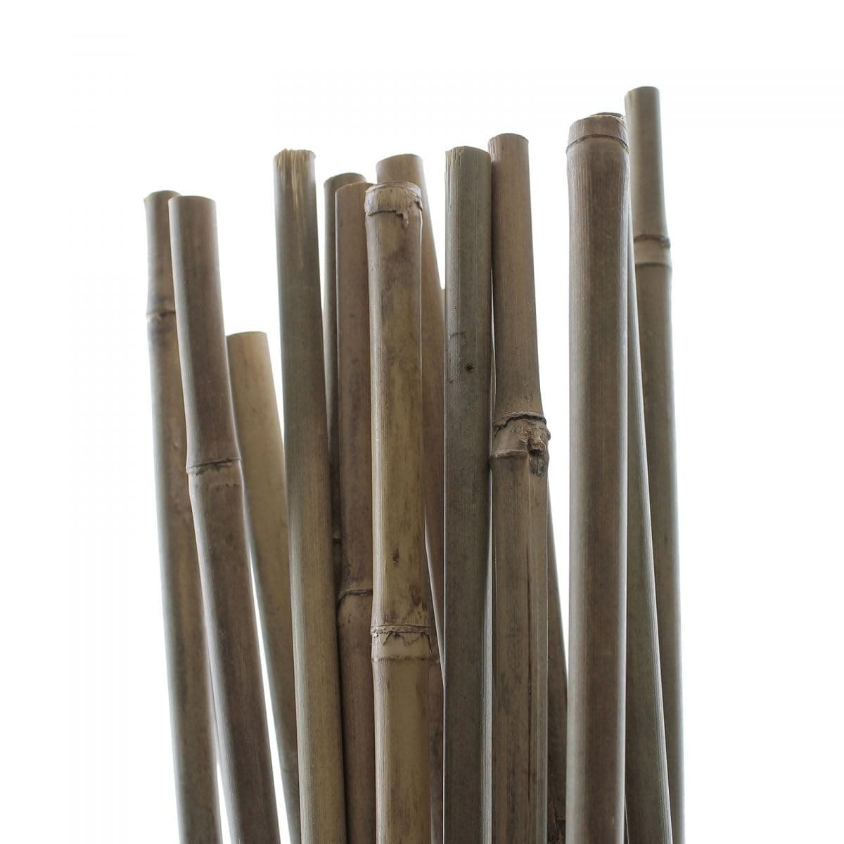 PLANT IT 10-480-062 5 ft Bamboo Stakes - Beige (Pack of 25)