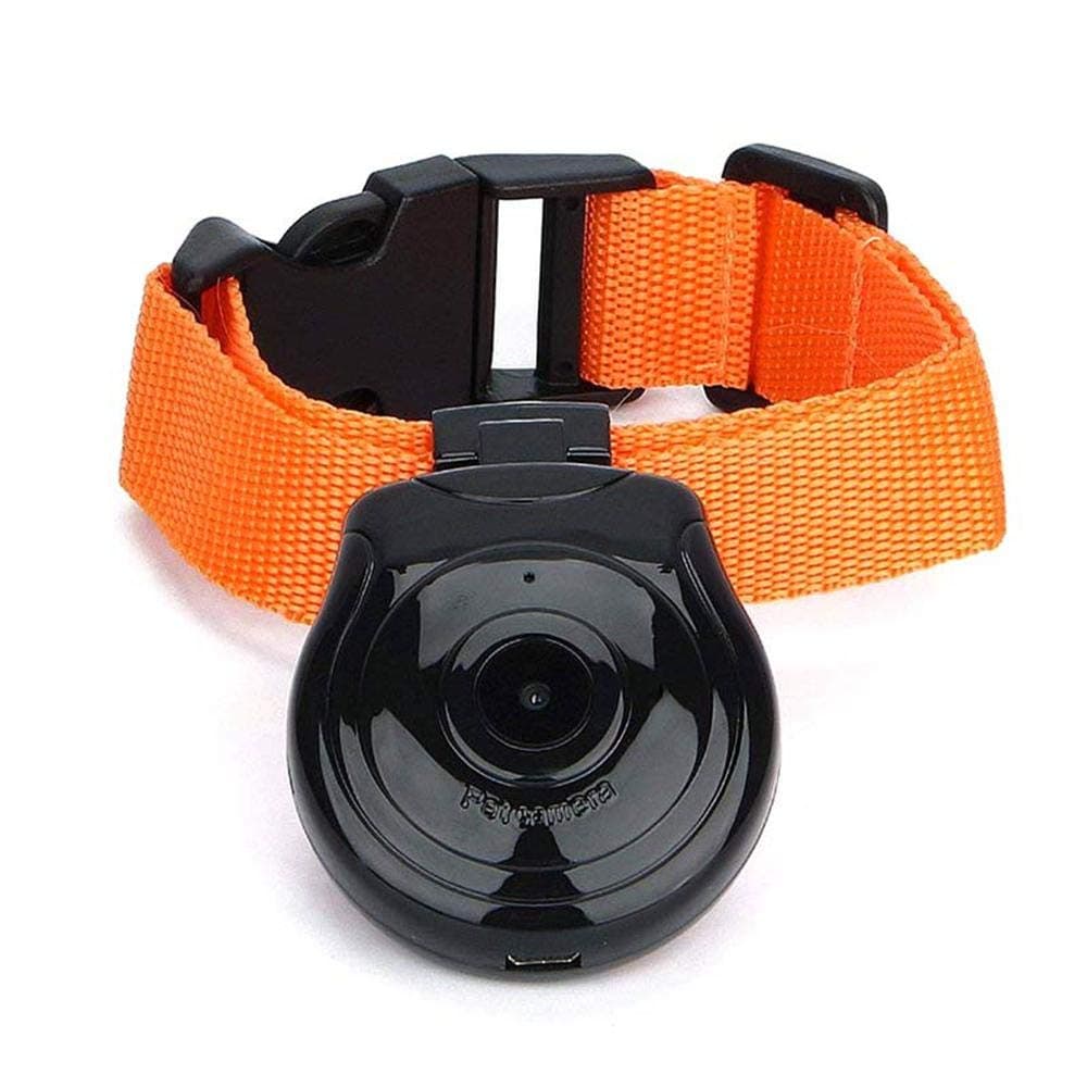 Auoker Dog/Cat Collar Camera, Pet USB Digital Collar Camera Mini DVR Video Recorder Monitor Tracker For Large Small Dogs Cats Support 32G Memory Card - Black