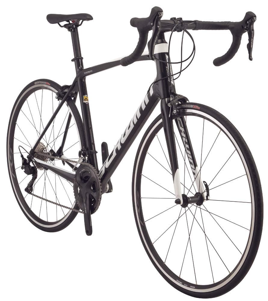 Schwinn Fastback Carbon Road Bike