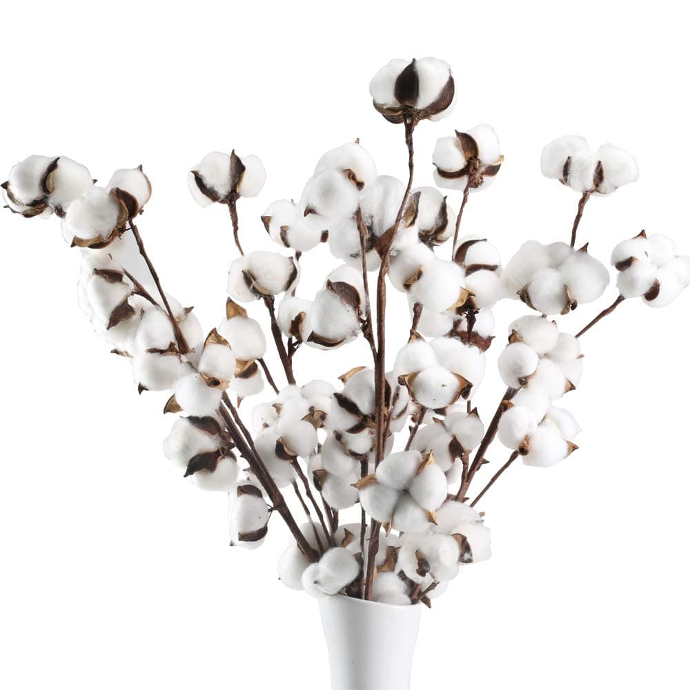 GTIDEA 5 Pack Cotton Stems Flowers Decor Total 50 Balls Natural Cotton Plant Farmhouse Dried Floral Arrangement for Home Table Centerpiece Vase Party Wedding Decorations (22 Inch)