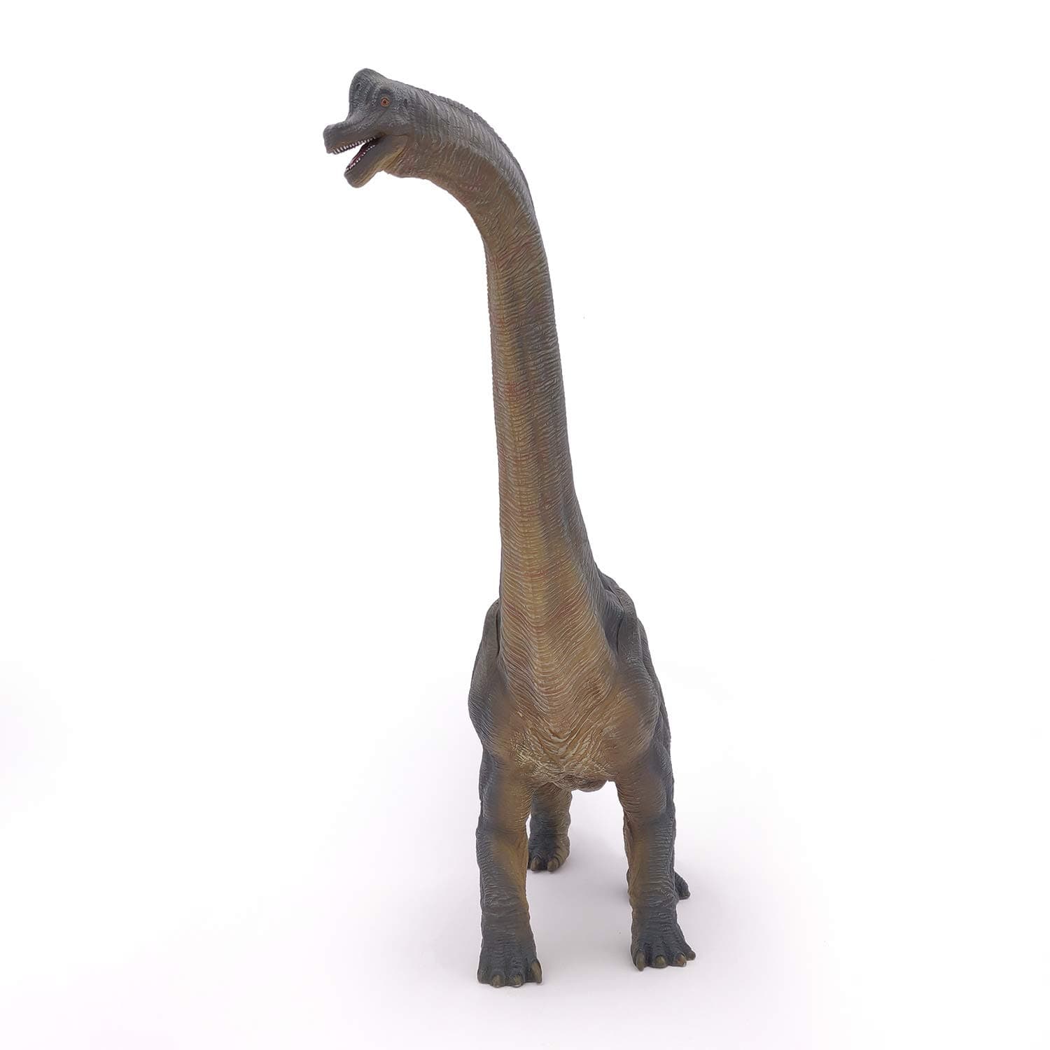 PAPO 55030 Brachiosaurus The Dinosaurs Figurine, Multicolour