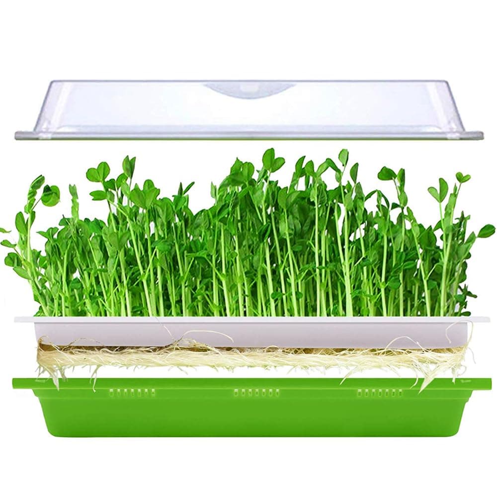 Seed Sprouter Tray with Lid BPA Free Plastic Extra Small Holes for Little Seeds Sprouts Bean Grower Sprouting Kit