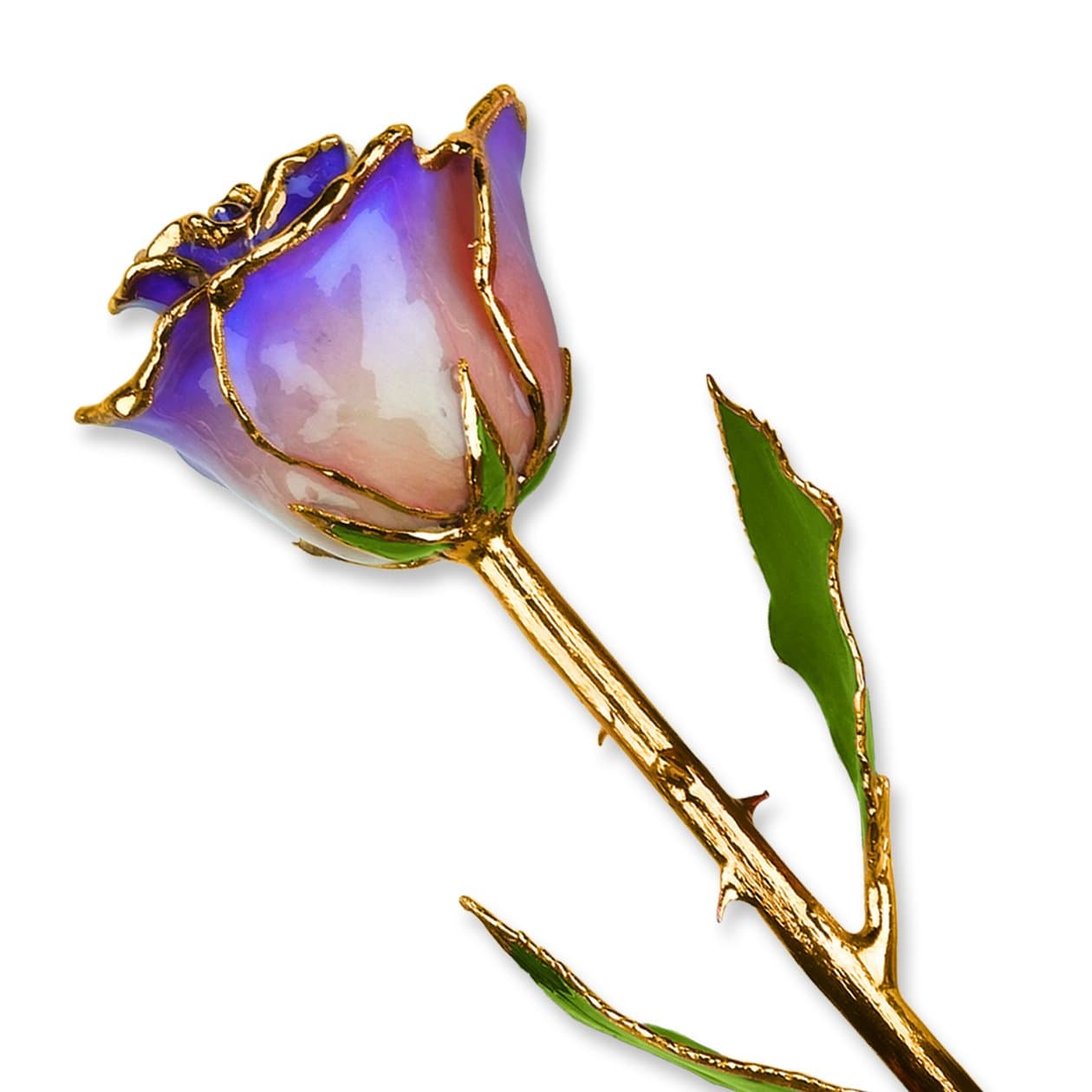11" 24K Gold Dipped Real Rose (White & Blue Opal)