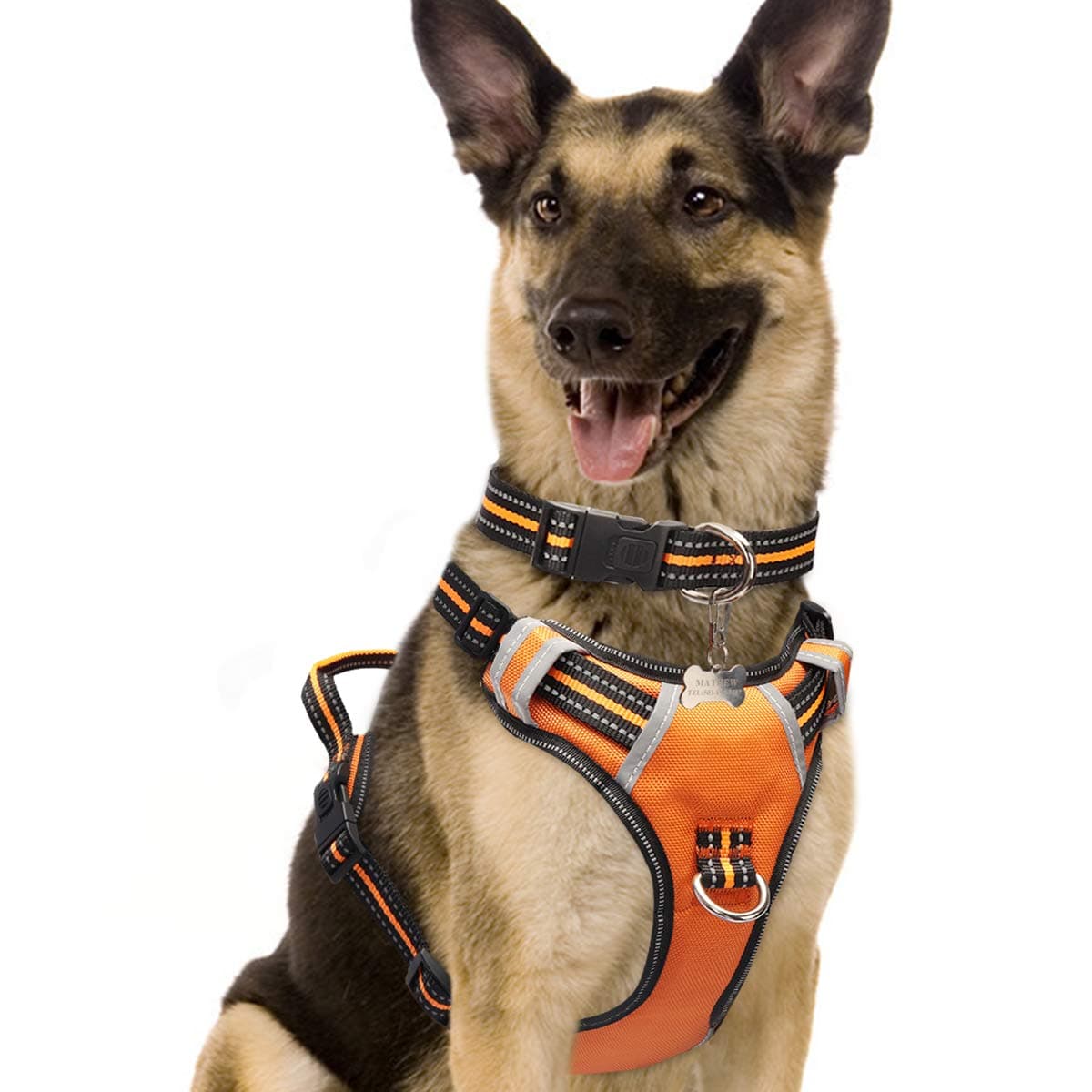 winsee Dog Harness Orange XL