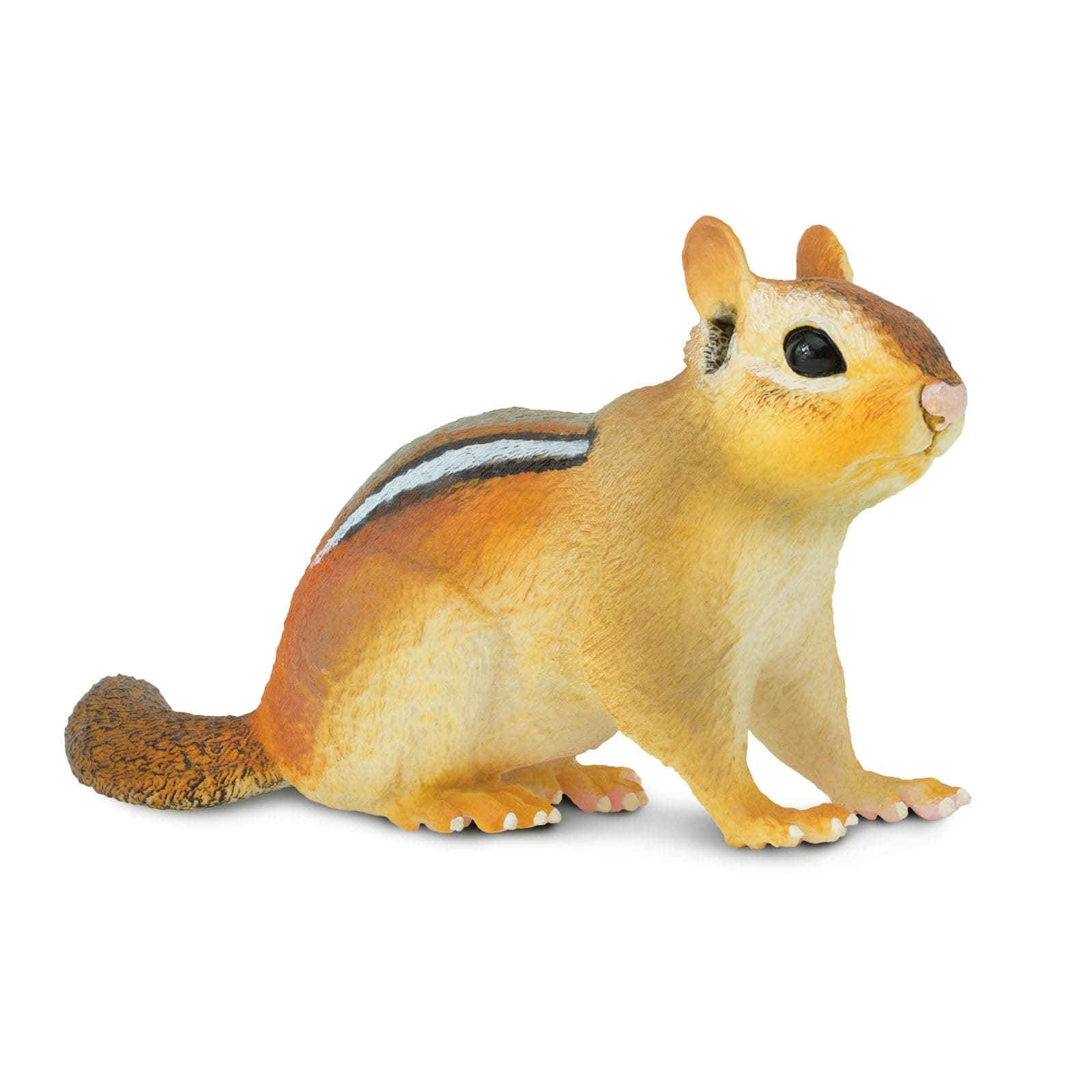 Safari Ltd. Eastern Chipmunk Figurine - Detailed 7" Plastic Model Figure - Fun Educational Play Toy for Boys, Girls & Kids Ages 3+