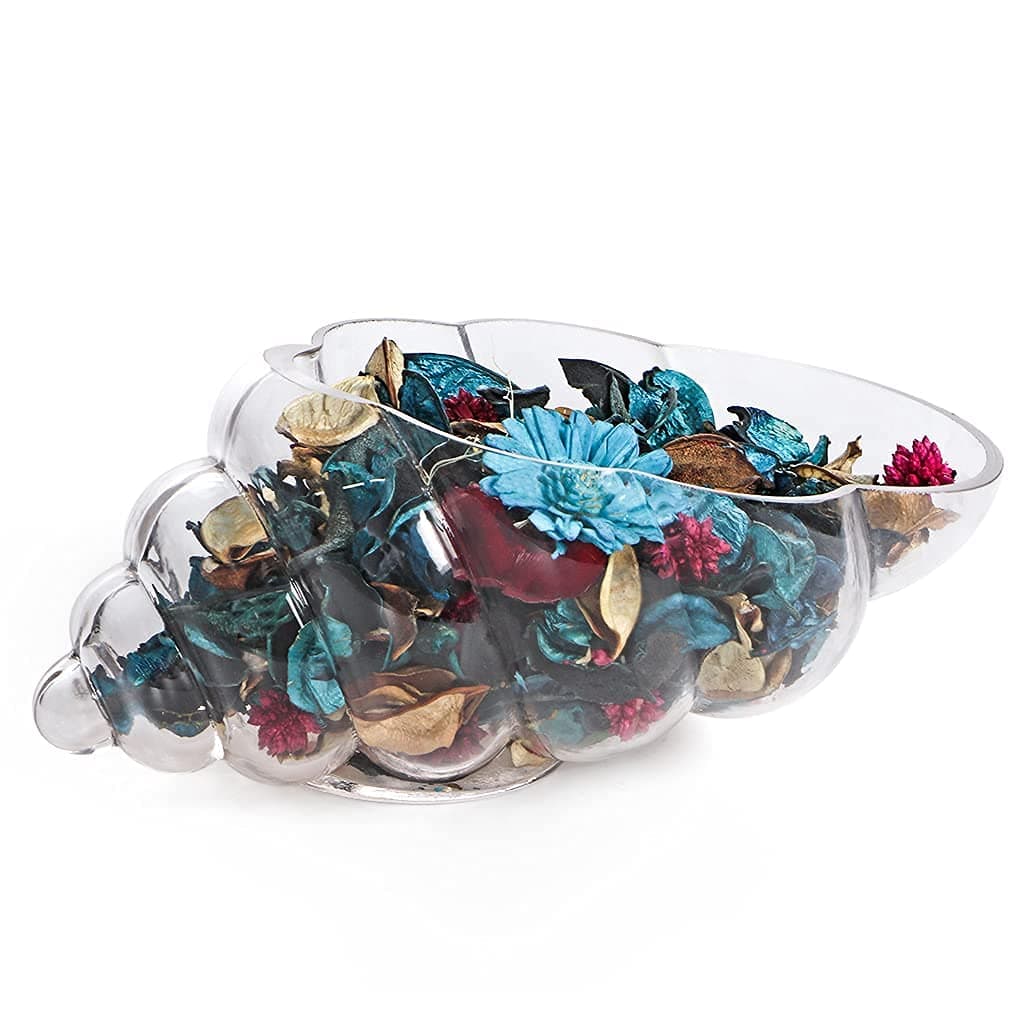 Glass Shell Vase, 10-Inch Seashell Potpourri Holder, Decorative Conch Bowl for Shell Collection Display, Sea Glass, Air Plant