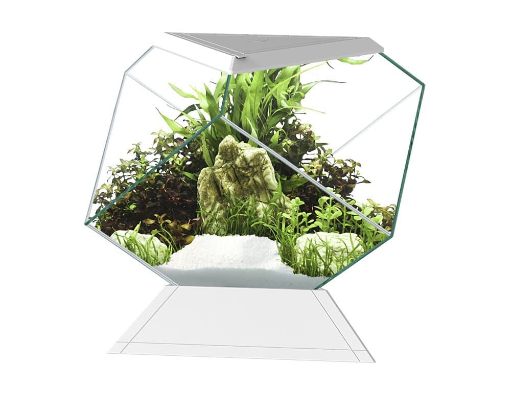 Askoll 280669 nexus 5c betta life white