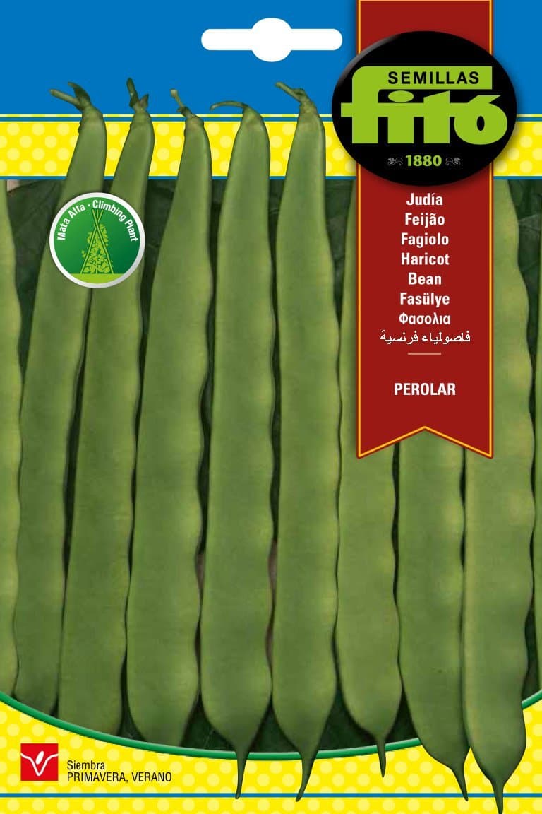 Semillas Fito Bean Perolar Seeds_3024