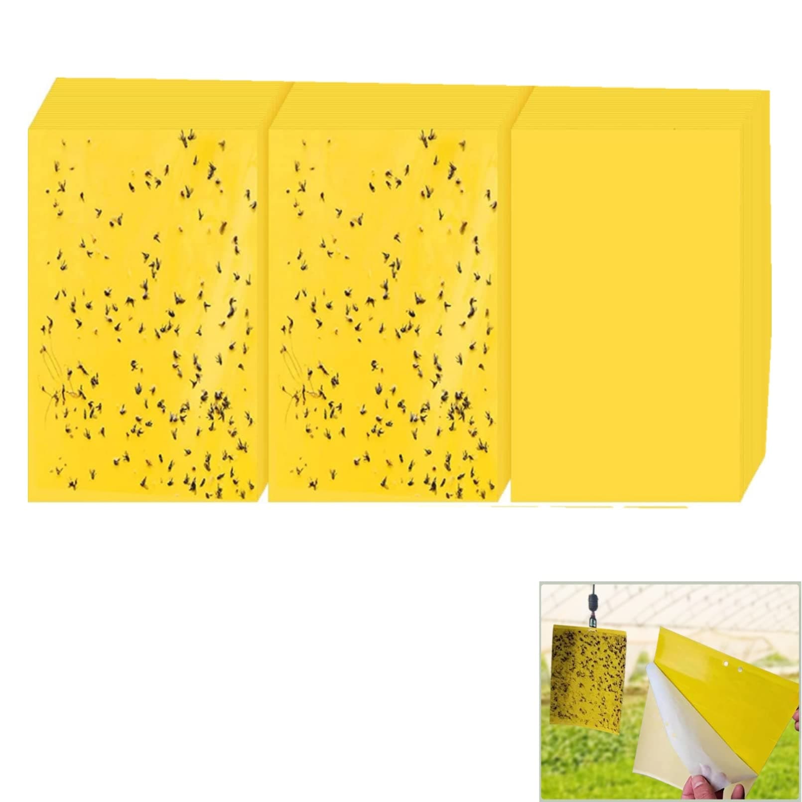 30 Pack Fruit Fly Trap Yellow Sticky Gnat Traps Killer for Indoor/Outdoor Flying Plant Insect,Yellow Gnat Traps for House 20X25CM Sticky Traps for House Indoor Outdoor Plants(30 Pack Fruit Fly Trap)
