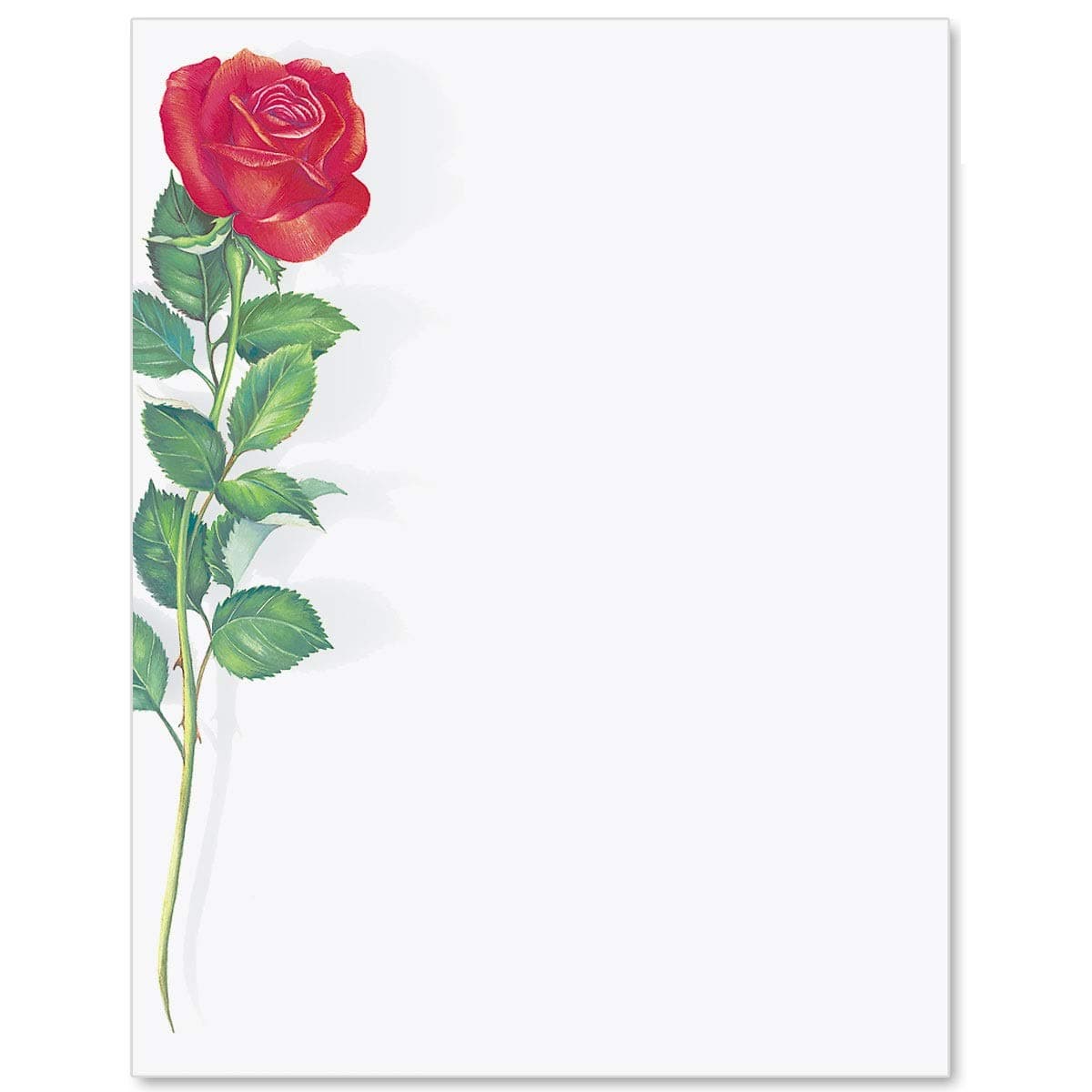 Red Rose Letter Papers, 8 1/2 x 11 Inches, 25 Count