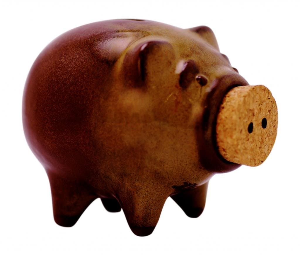 Piglet Piggy Bank Mocha