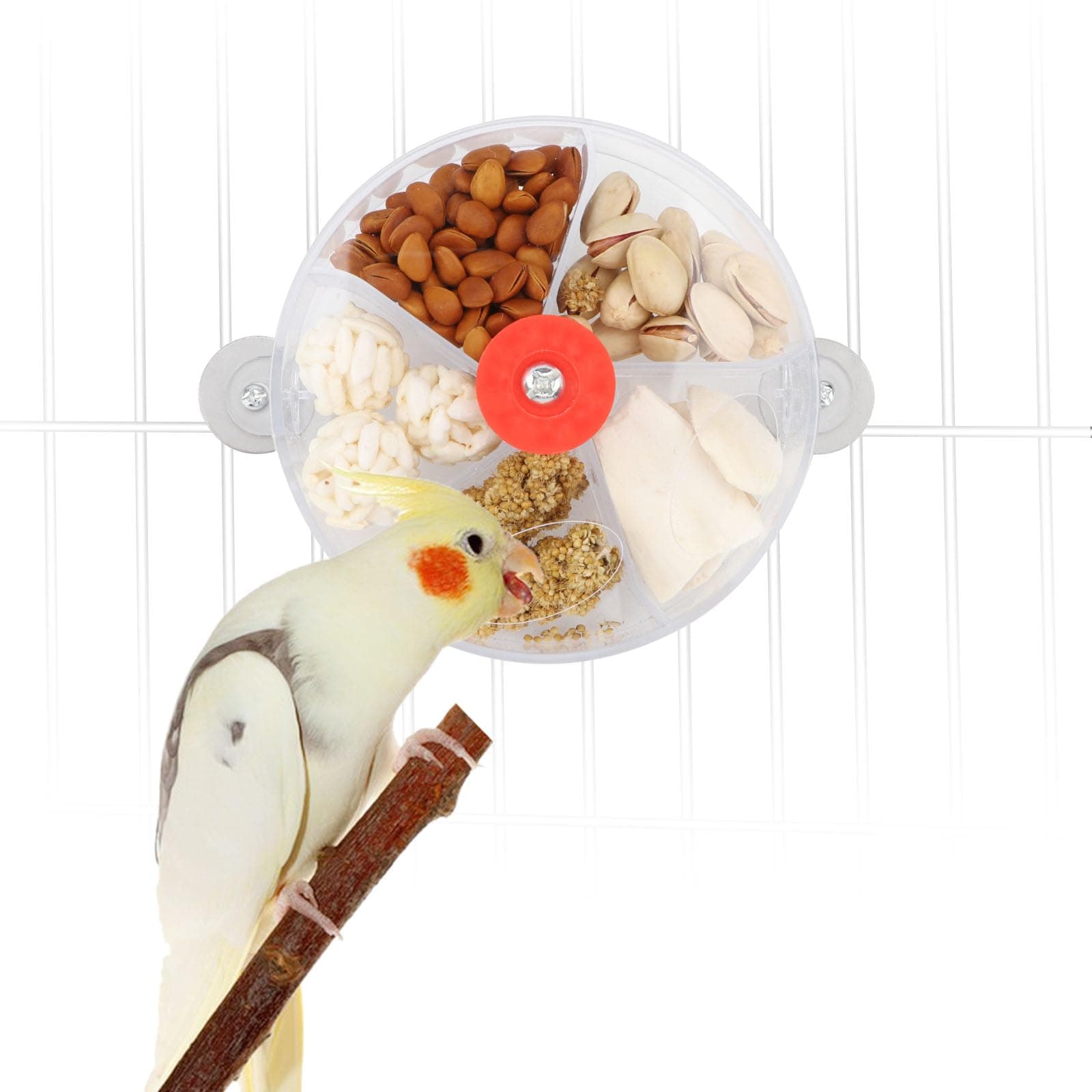 Bird Creative Foraging System Wheel Seed Food Ball Rotate Training Toy for Small and Medium Parrots Parakeet Cockatiel Conure (Clear)