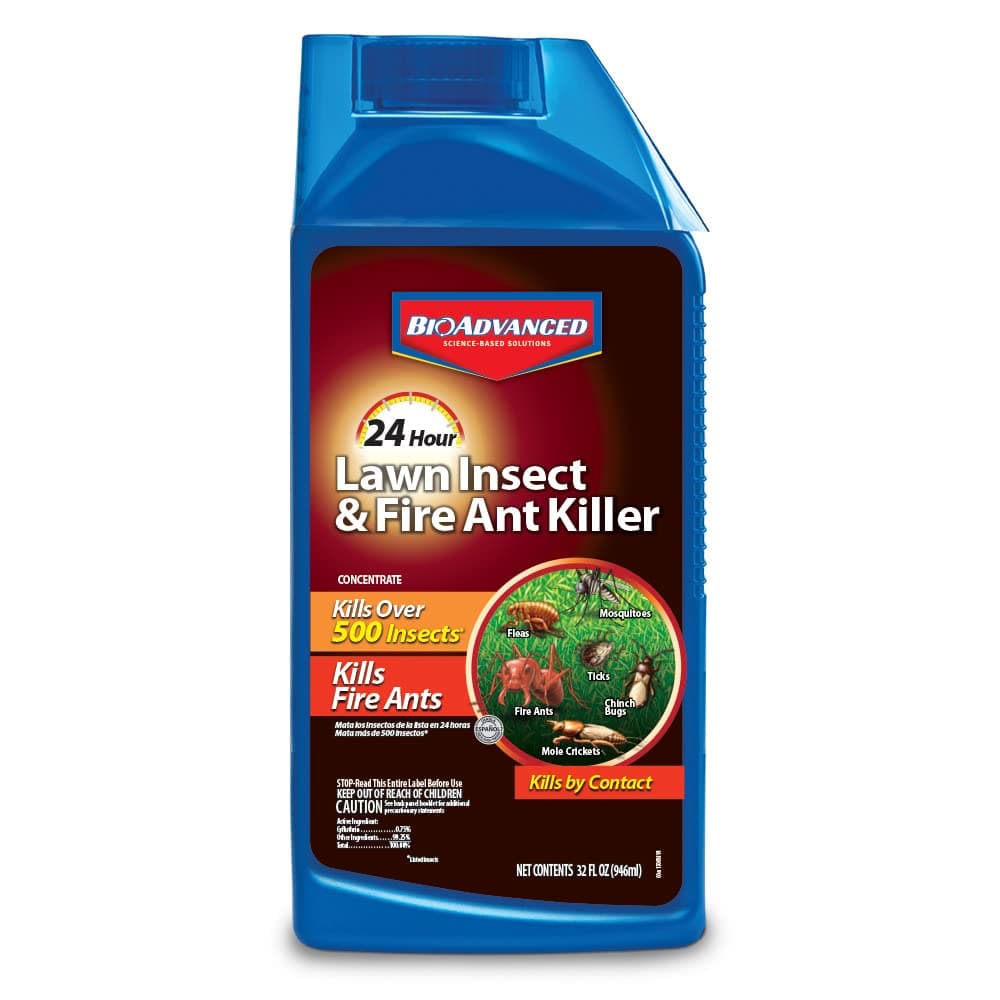 BioAdvanced 24 Hour Lawn Insect & Fire Ant Killer, Concentrate, 32 oz, Outdoor Ant Killer