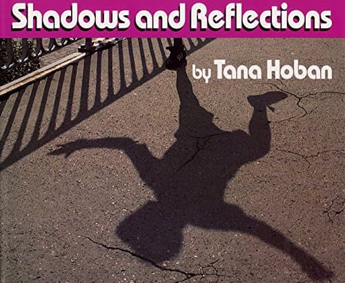 Shadows and Reflections: An Imaginative Wordless Picture Book About Everyday Seeing for Kids (Ages 4-8)