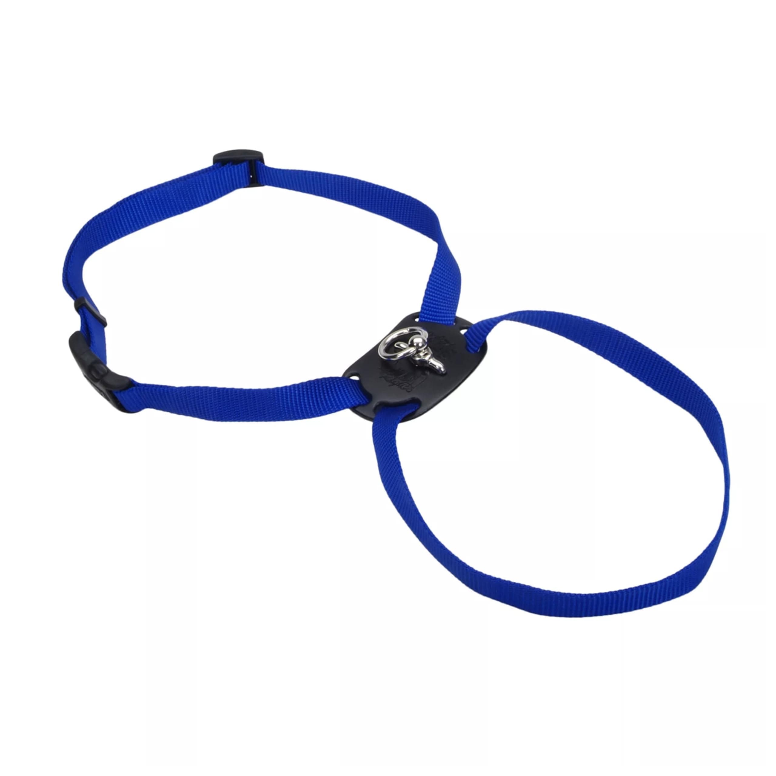 Coastal Pet Size Right Adjustable Dog Harness - Small & Big Dog Harness - Comfortable Dog Training Harness - Includes Snap-Lock Buckle - Quality Dog Supplies - Blue, 3/8" x 12-18"