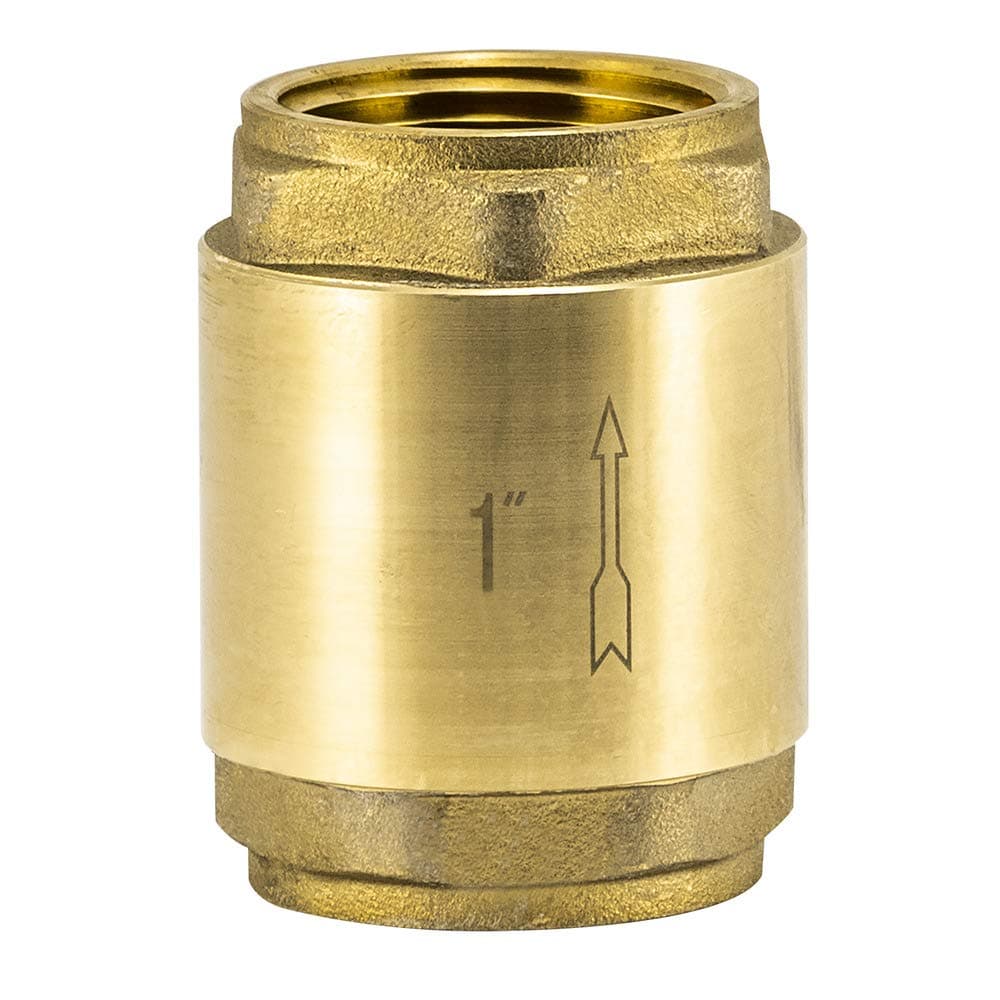 Eastman Brass In-Line Check Valve, 1 Inch IPS Threaded Connection, Stainless Steel Spring, 20405LF