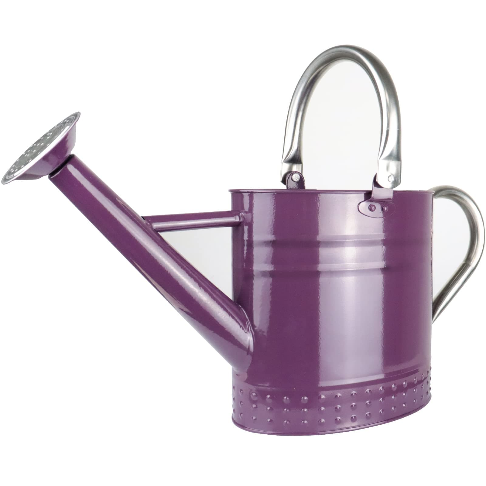 1 Gallon Metal Watering Can with Removable Spout, Nice Galvanized Steel Water Can with Embossed Design for Indoor and Outdoor Plants (Purple)