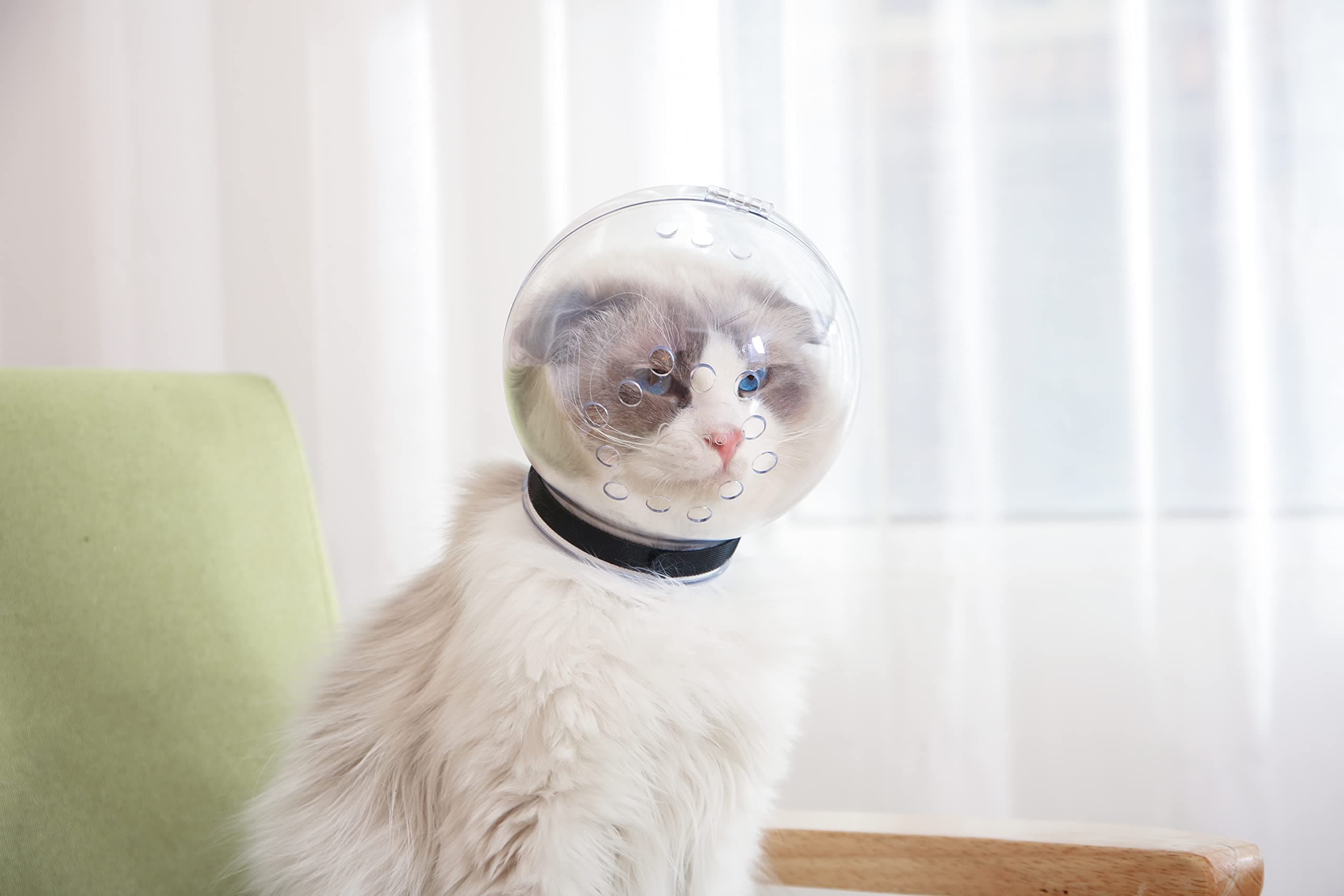 Pet Cat Astronaut Transparent Grooming Muzzle Mask Adjustable Strap Breathable Muzzle from Biting Chewing Grooming Restraint (M(Neck Girth 7.36''~8.94''))