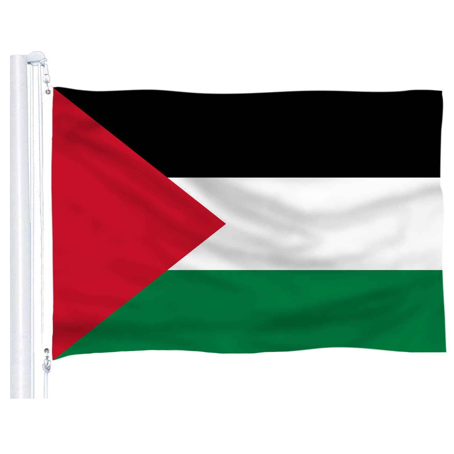 DFLIVE Palestine Flag 3x5 Ft Thicker Polyester The Palestinian National Banner with Brass Grommets