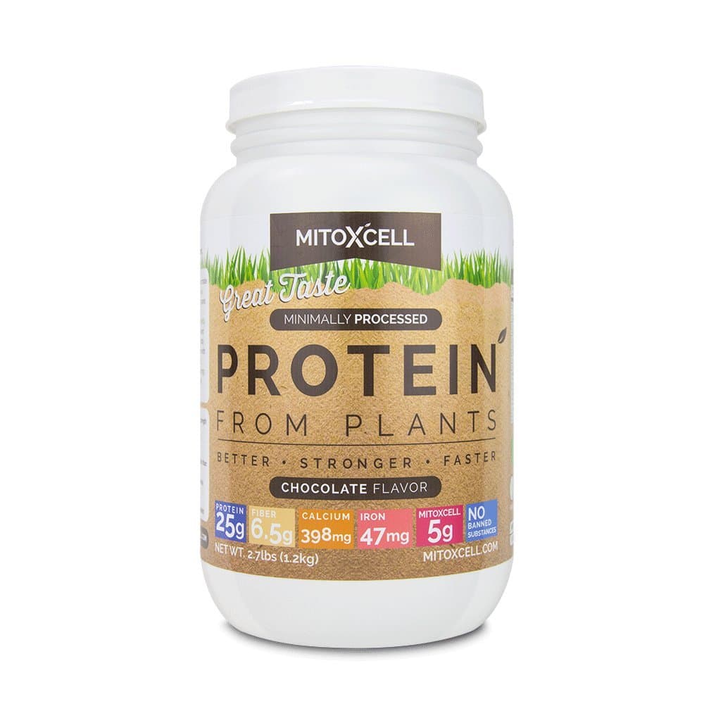 Plant Based Protein Powder: Raw Cacao, Echinacea, L Carnitine, Alpha Lipoic Acid and 25 Grams of Protein Per Serving to Support Mitochondria - Chocolate, 2.7 pounds