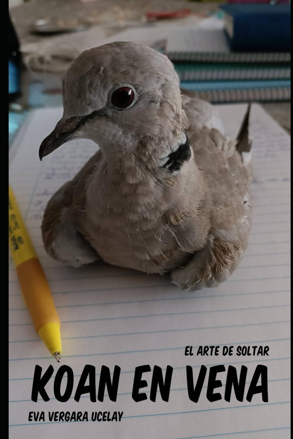 KOAN EN VENA: EL ARTE DE SOLTAR