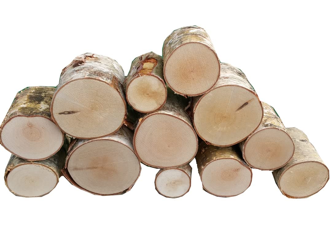Full Round 20cm Long Kiln Dried Birch Decorative Quality Logs Fine Sawn Ends