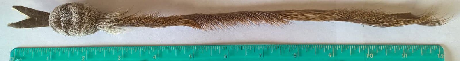 CoolCyberCats Fun Rat Pack Snake Refill/Attachment - Fits Wildcat and Popular Bird and Mouse Type Wands/Poles