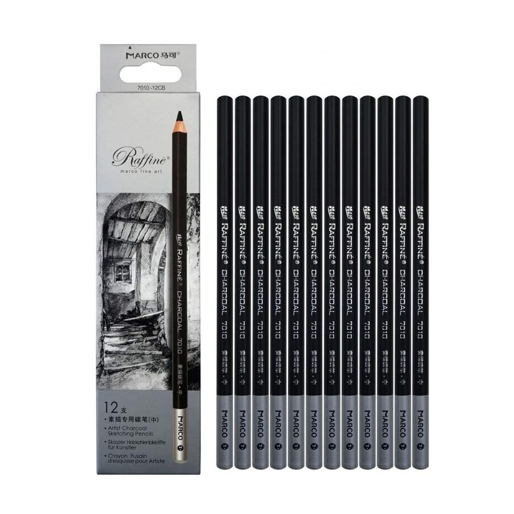 Charcoal drawing pencils set Sketch Pencils Medium 12pcs Charcoal Pencils Non-toxic Drawing Pencils Tools Set for Fine Art Supplies