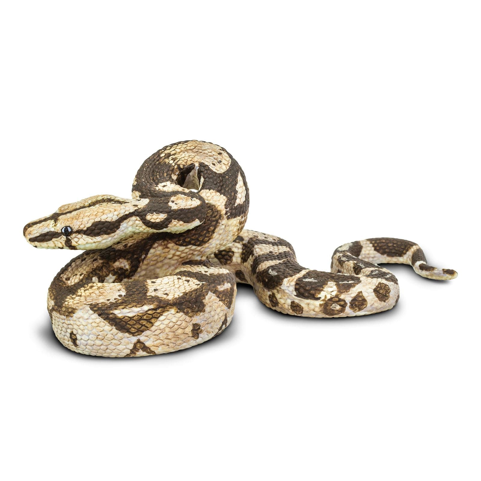 Safari Ltd. Boa Constrictor Figurine - Realistic 6" Snake Figure - Educational Toy for Boys, Girls, and Kids Ages 3+