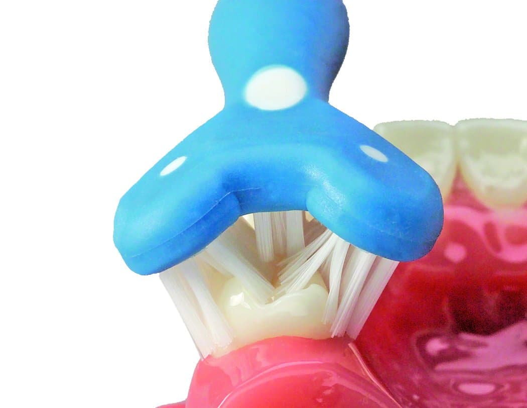 SURROUND® Toothbrush (Pack of 2) (Blue/Coral)