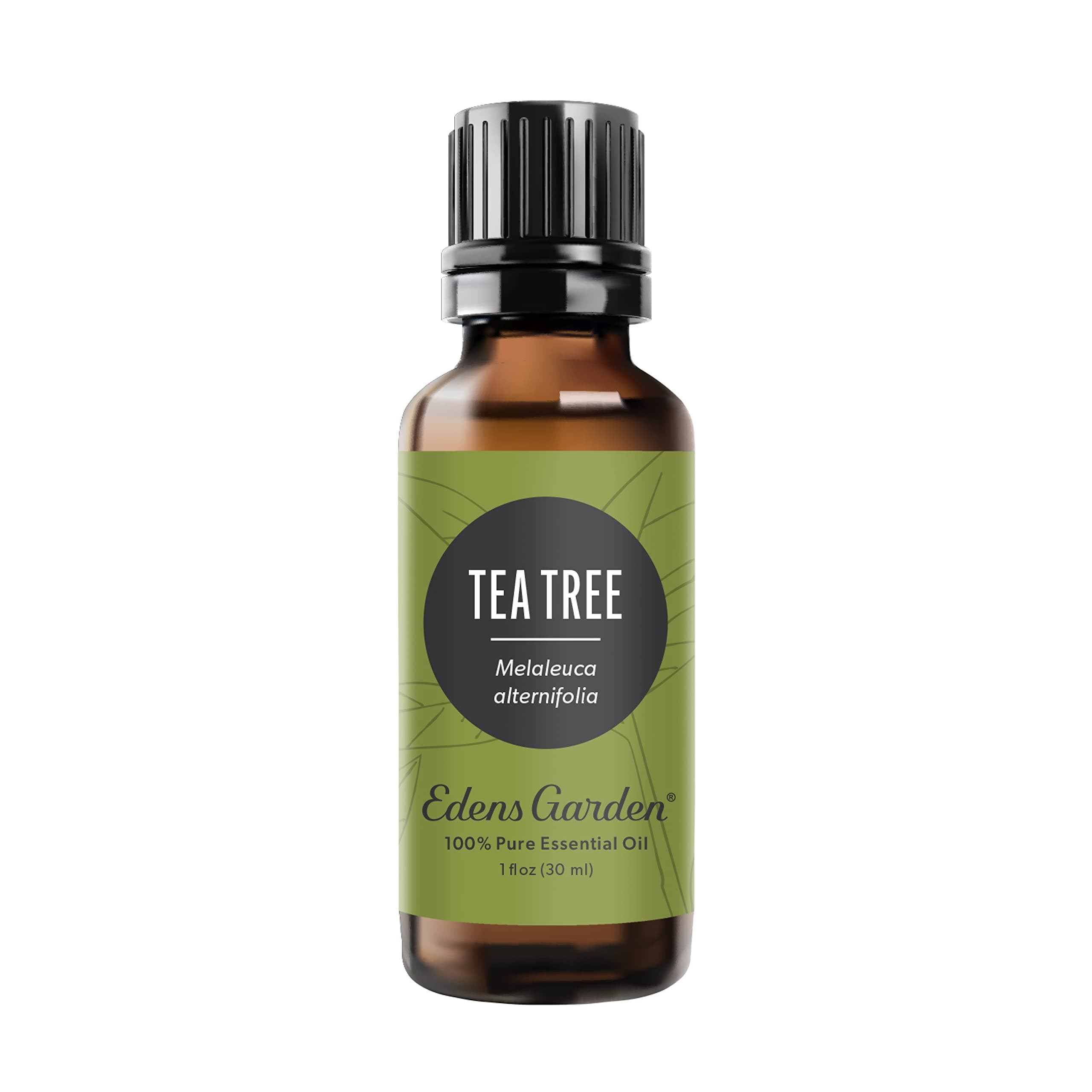 Edens Garden Tea Tree Essential Oil- 100% Pure Premium Grade, Undiluted, Natural, Therapeutic, Aromatherapy, The Best for Diffuser, Hair, Humidifiers, Kid Safe 30 ml (1 fl oz)