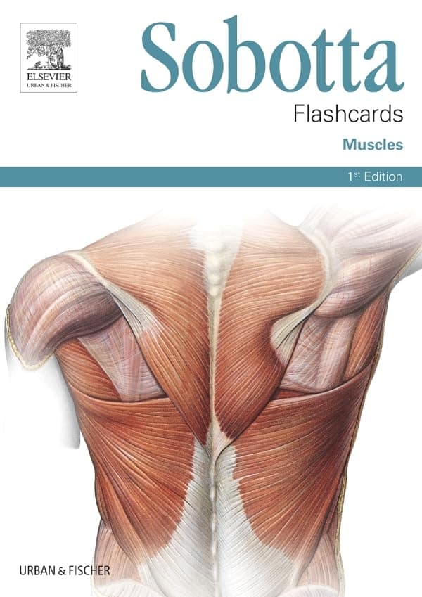 Sobotta Flashcards Muscles: Muscles Cards – 27 Aug. 2013