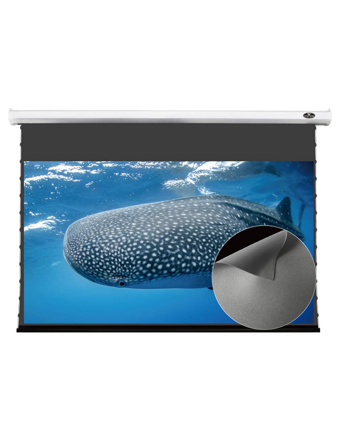 VIVID STORM SINCE 2004Projection Screen,Obsidian Long Focus ALR Deluxe Motorized Office Presentation Screen,Compatible with Lumen up to 2500ANSI Standard Throw Projector,V6JLALR120H