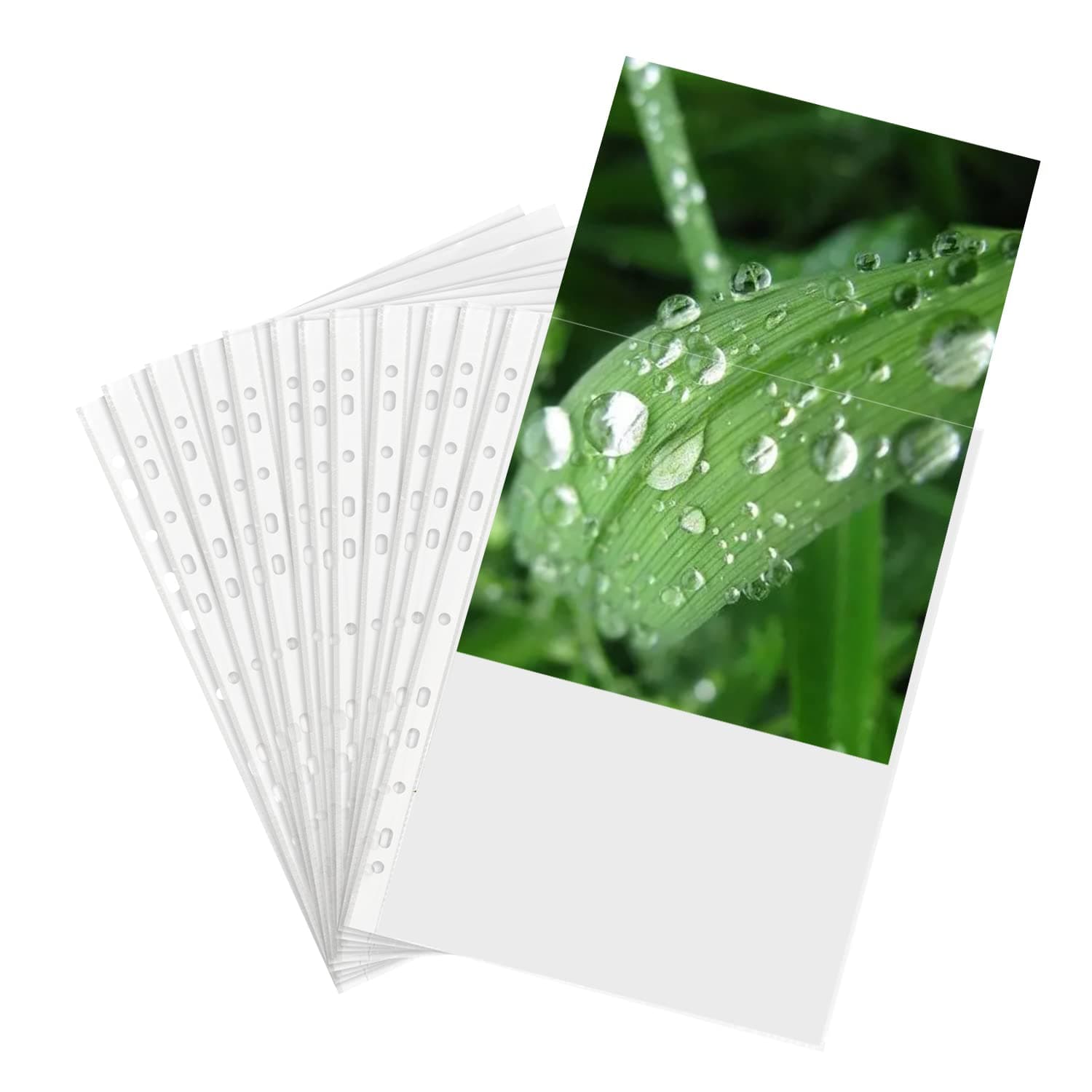 100 Pieces A4 Punched Sheet Protectors, 40 Micron, TRANBO Crystal Clear Plastic Pockets Wallets with 11 Holes for Ring Binders & Files, Top-Opening Sleeves