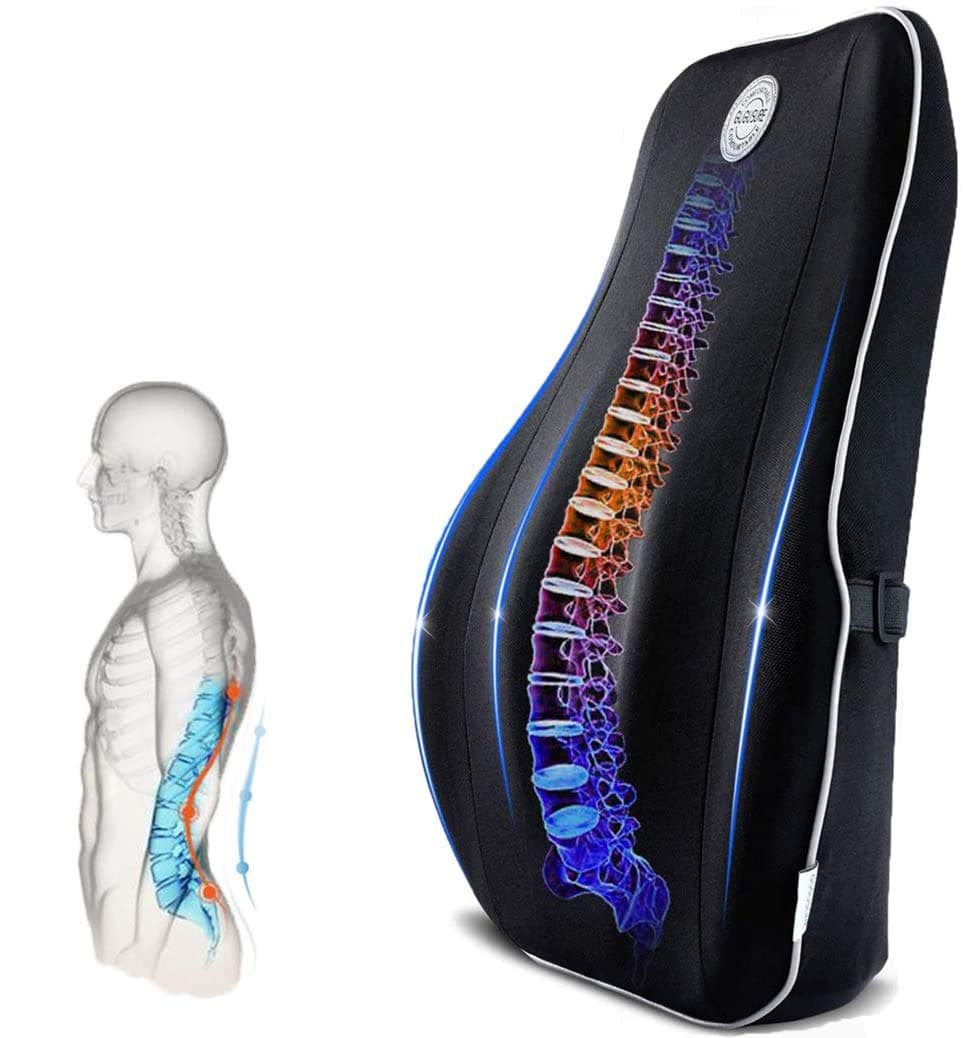 Gugusure Lumbar Support Pillow,Memory Foam Back Cushion with Breathable Mesh for Low Back Pain Relief,Orthopedic Backrest for Car Seat,Office Chair,Wheelchairs and Recliner