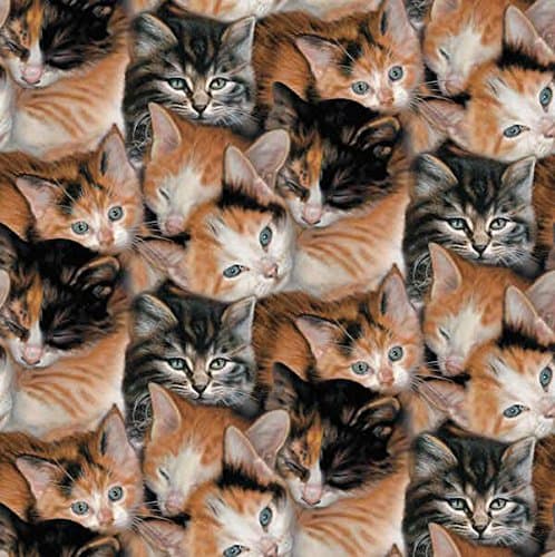 Sleepy Kittens Cat Fleece Throw Blanket with Finished Edges