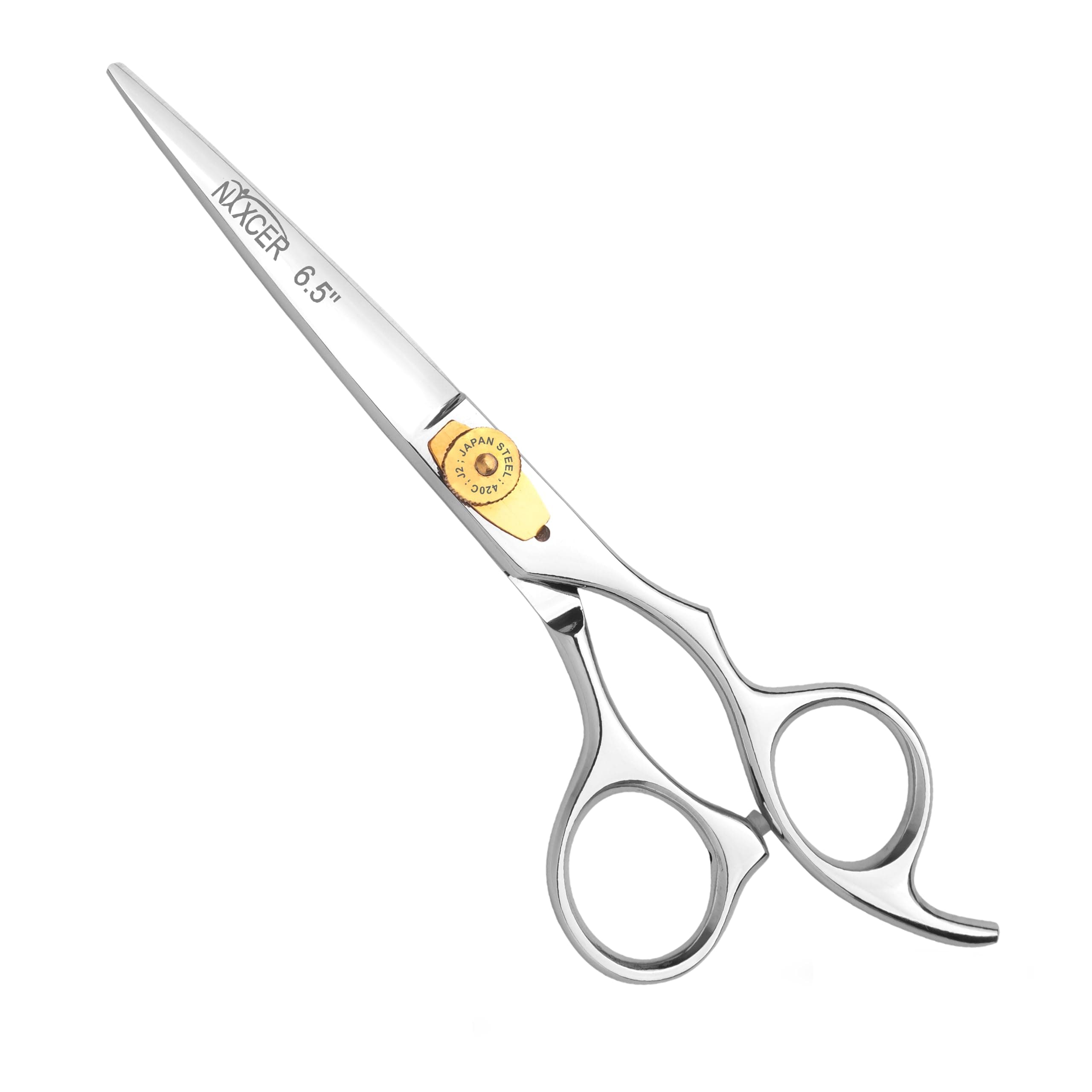 Hair Cutting Scissors -Sharp Razor Edge Blade Hair Shears Series - 6.5" with Fine Adjustment – Stainless Steel Hair Scissors Professional for Men, Women & Babies (Silver)