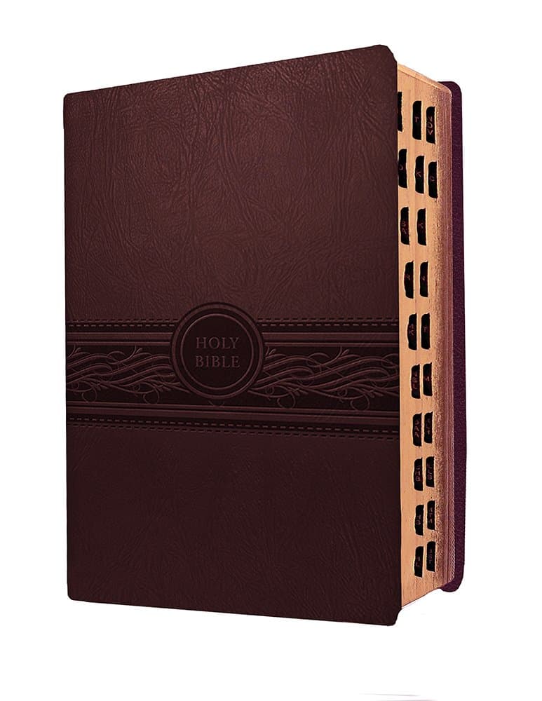 MEV Bible Personal Size Large Print Cherry Brown Indexed: Modern English Version Imitation Leather – Large Print, May 3, 2016