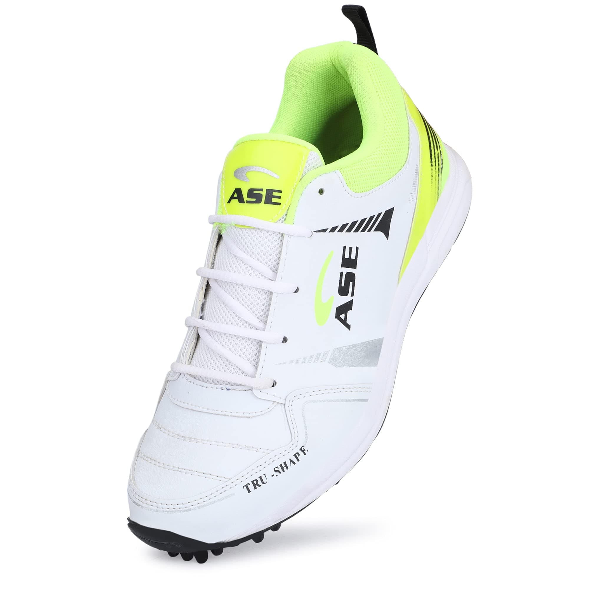 ASE Men's Professional Cricket Shoes