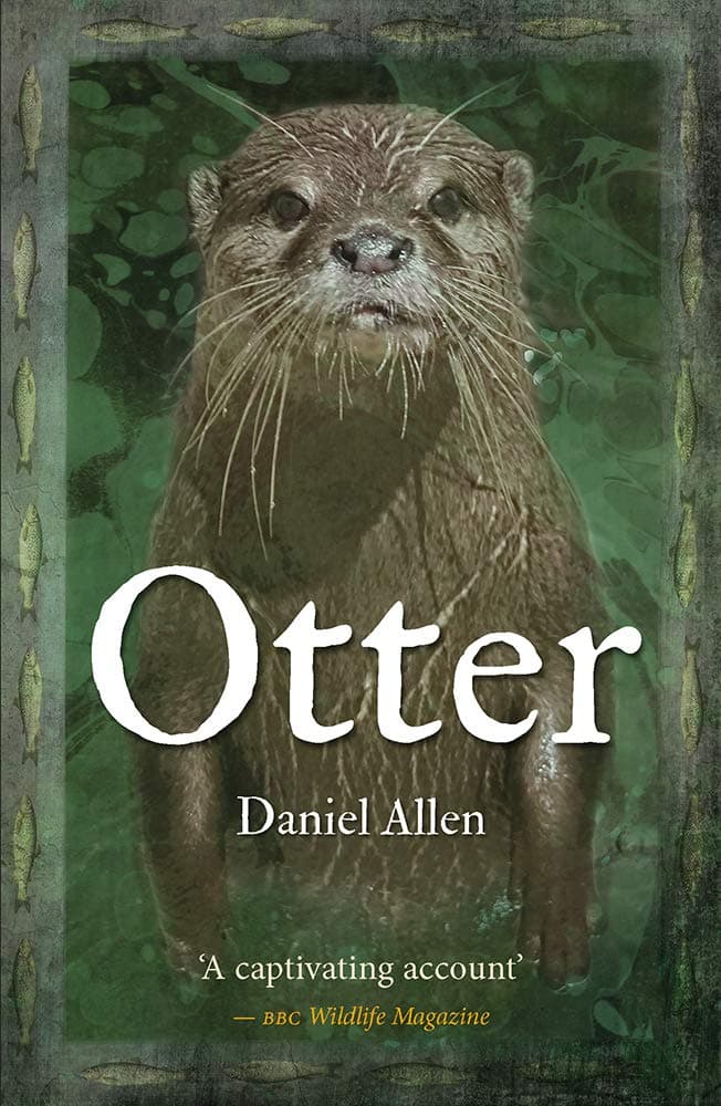 Otter (Animal)