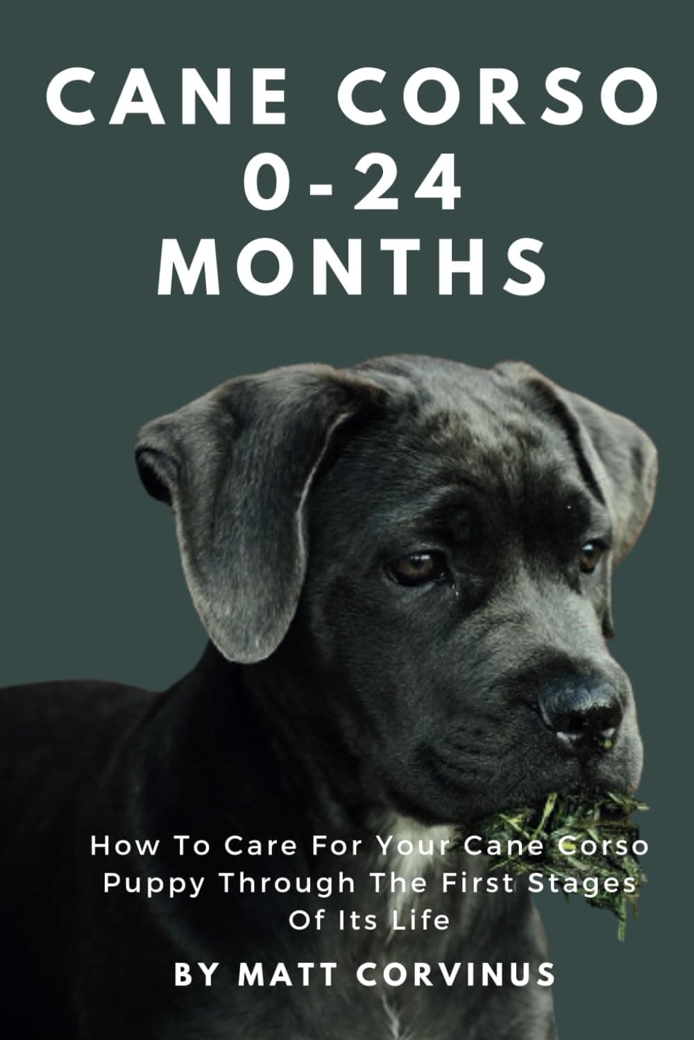 Cane Corso 0-24 Months: How To Care For Your Cane Corso Puppy Through The First Stages Of Its Life