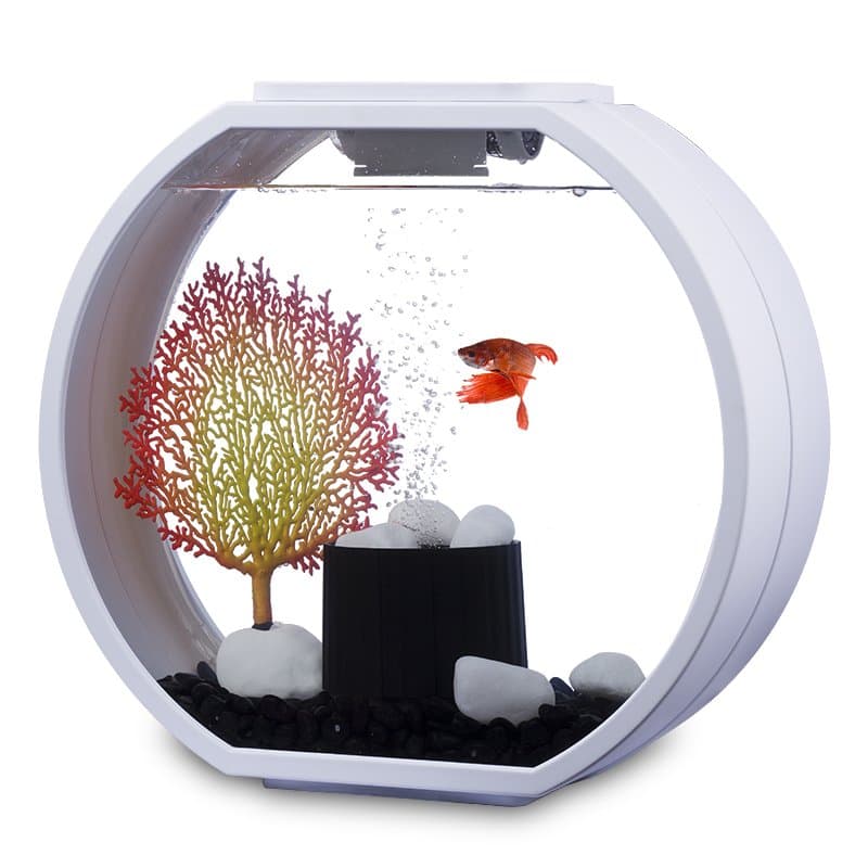 AA Aquarium Deco O Mini AA10L-OGD-WHT Aquarium