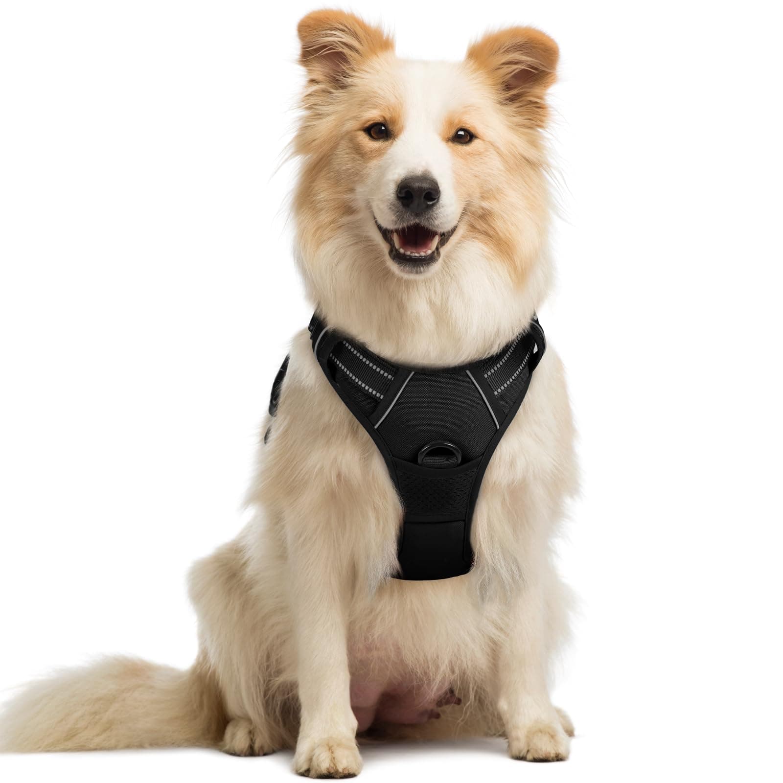 Rabbitgoo No Pull Dog Harness Medium, Front Clip Pet Vest Harness with Handle Adjustable Dog Padded Harness Reflective Mesh Lightweight Perfect Fit Dog Harness for Outdoor Training Walking-Black