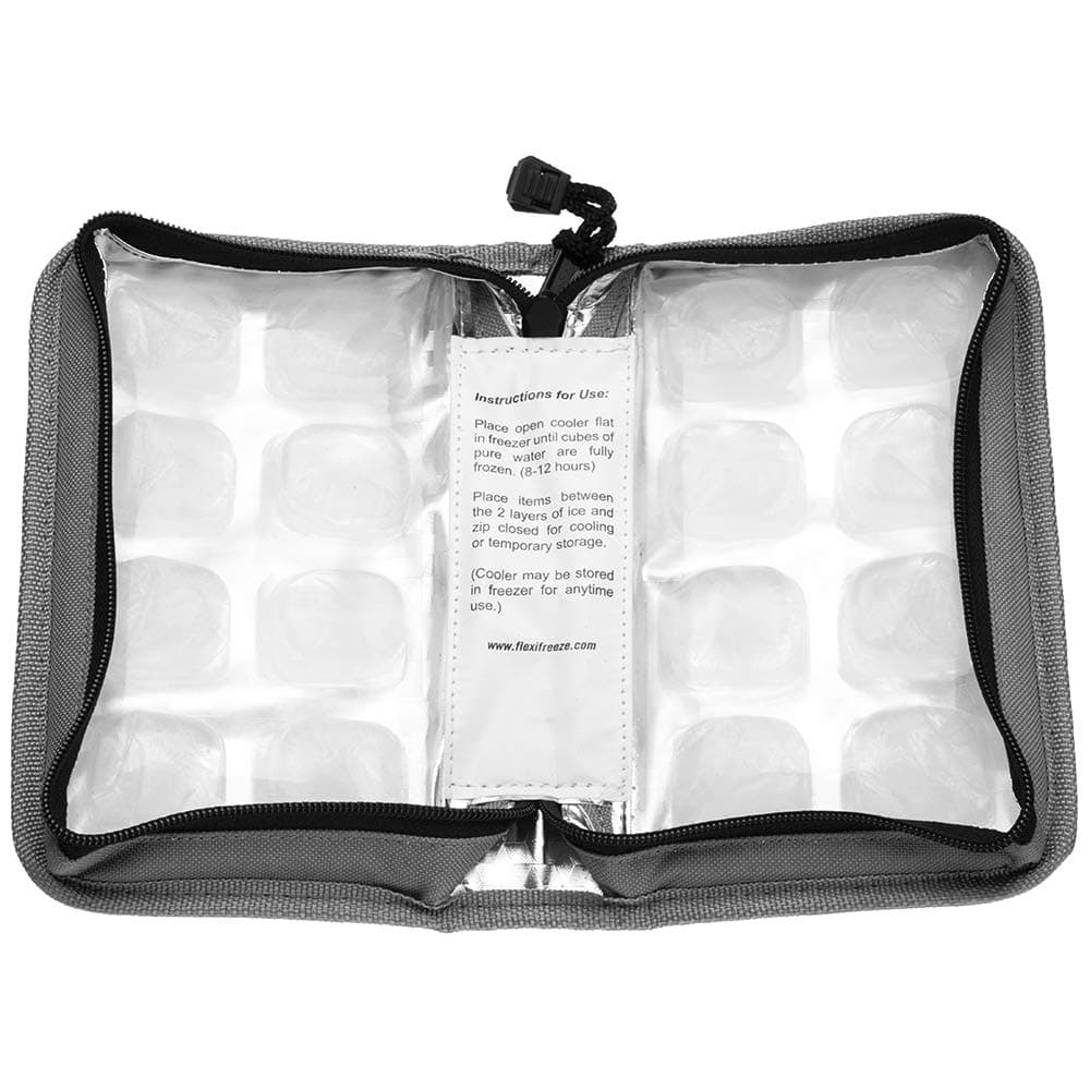 Pocketbook Breastmilk Cooler, Gray