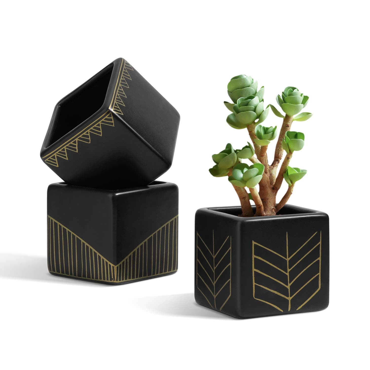 T4U Matt Square Succulent Pots Black, Small Ceramic Succulent Plant Planter Garden Cactus Flower Pot Container for Home and Office Decoration Set of 3