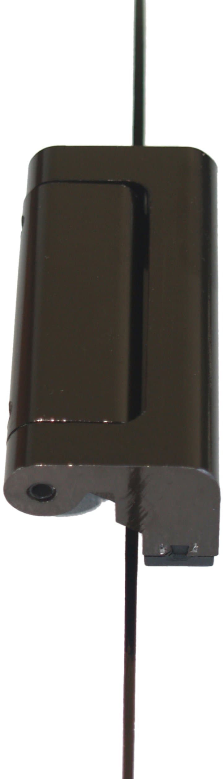 Cardinal Gates Door Guardian, Black