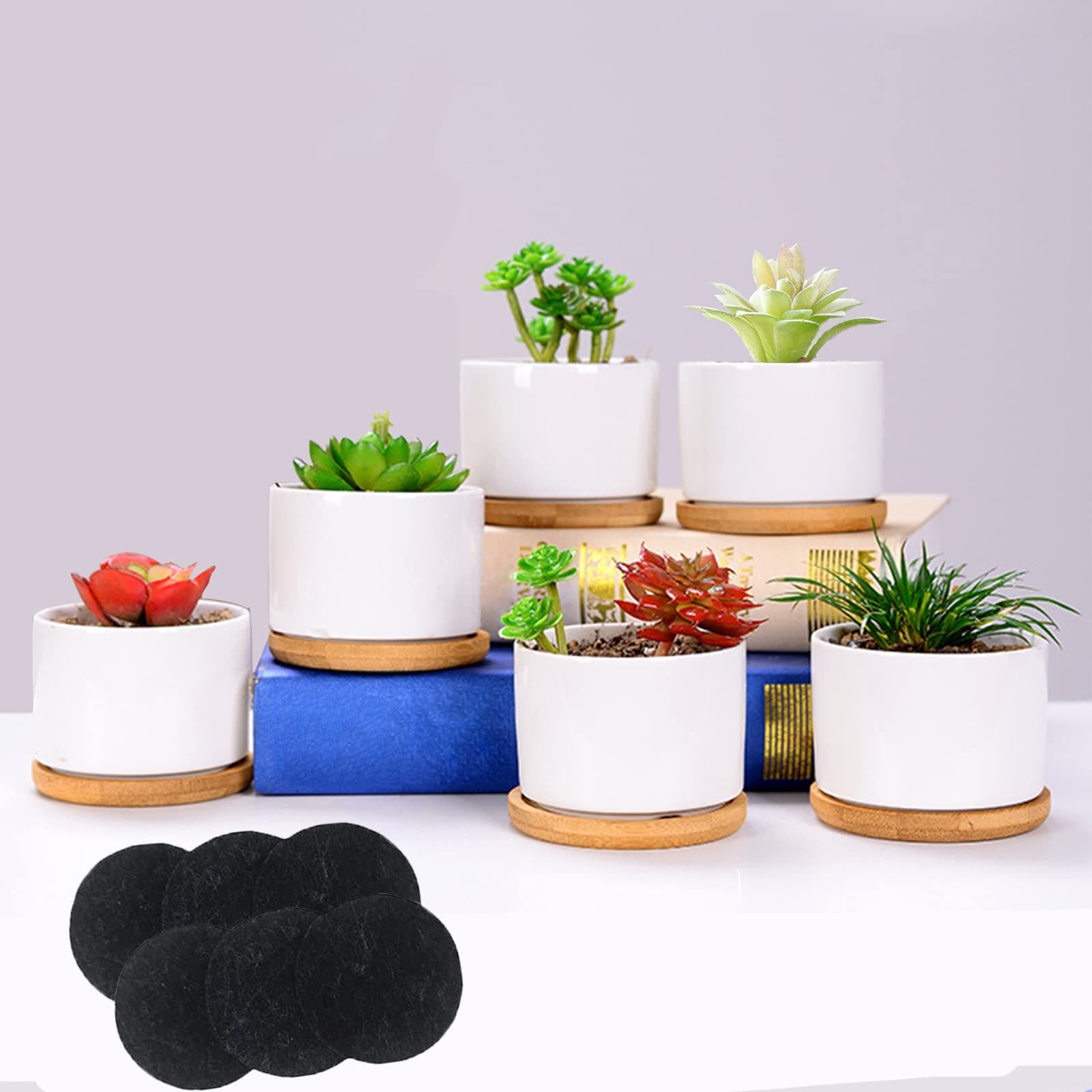 6Pcs 3.5 Inch Small Succulent Pots Ceramic Succulent Planters Set for Indoor Plants Mini Flower Pots Pocket Potters with Drainage Tray (Plants Not Included)